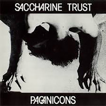 SACCHARINE TRUST - Paganicons LP
