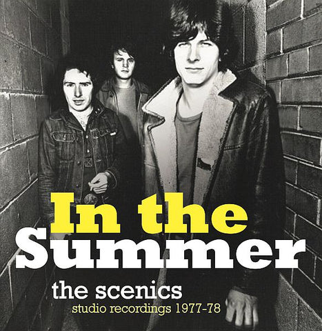 SCENICS - In The Summer - 1977-78 LP