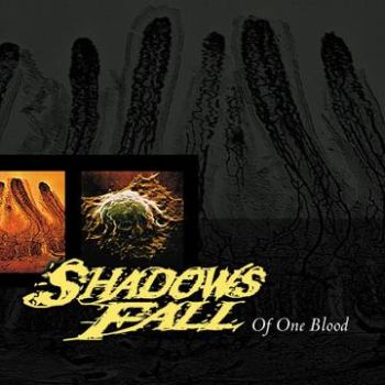 SHADOWS FALL - Of One Blood LP