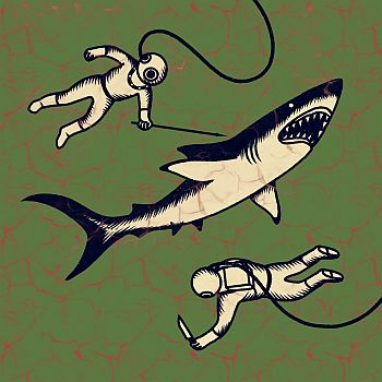 SHEPPARTON AIRPLANE - Sharks LP