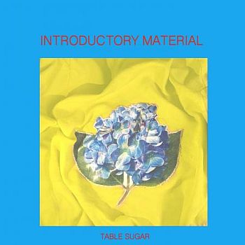 ** FLASH SALE ** TABLE SUGAR - Introductory Material LP