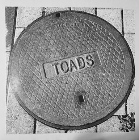 ** FLASH SALE ** TOADS - s/t LP