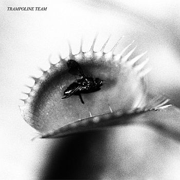 TRAMPOLINE TEAM - s/t LP