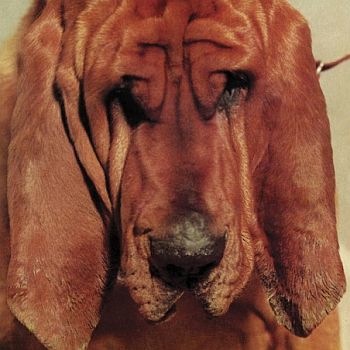 TY SEGALL - Goodbye Bread LP