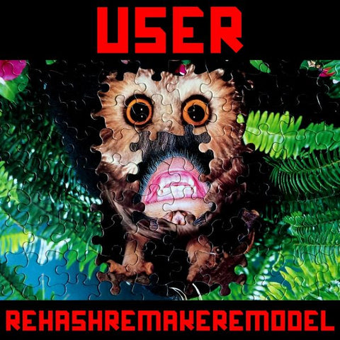 USER - RehashRemakeRemodel LP (colour vinyl)