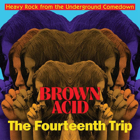 v/a- BROWN ACID: THE FOURTEENTH TRIP LP