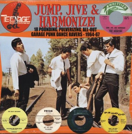 v/a- TEENAGE SHUTDOWN: Jump, Jive and Harmonize LP