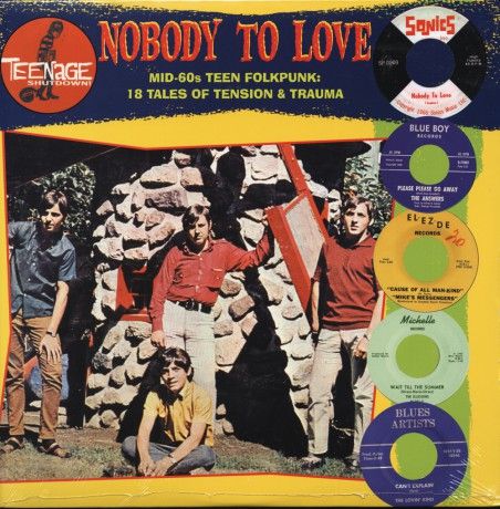 v/a- TEENAGE SHUTDOWN: Nobody To Love LP