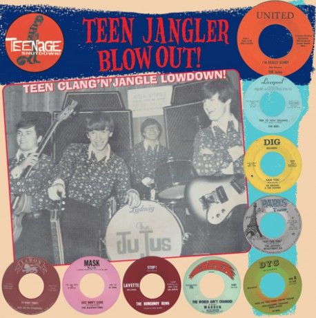 v/a- TEENAGE SHUTDOWN: Teen Jangler Blowout! LP