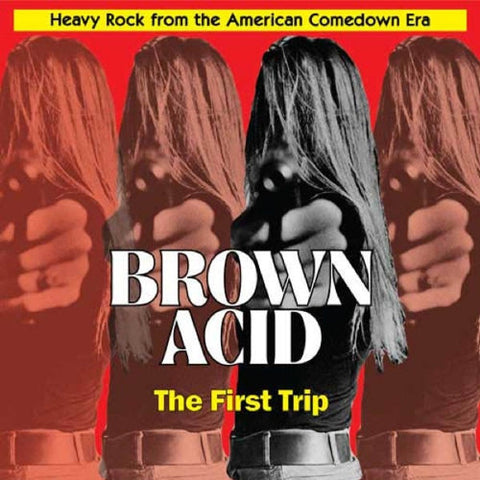 v/a- BROWN ACID: THE FIRST TRIP LP
