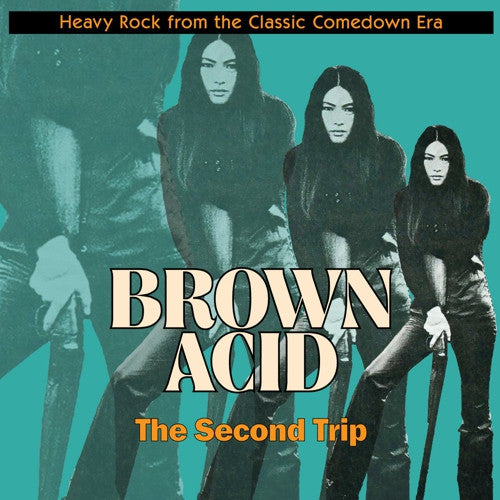 v/a- BROWN ACID: THE SECOND TRIP LP (colour vinyl)