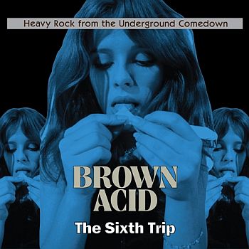 v/a- BROWN ACID: THE SIXTH TRIP LP