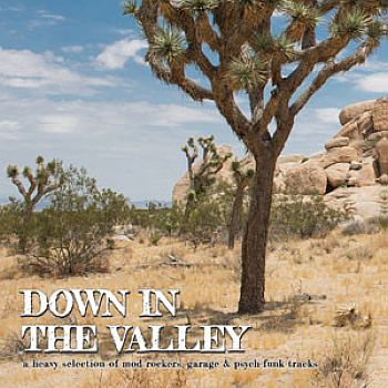 v/a- DOWN IN THE VALLEY LP