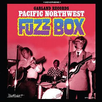 v/a- PACIFIC NORTHWEST FUZZ BOX LP (colour vinyl)