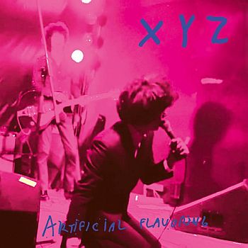 XYZ - Artificial Flavoring LP