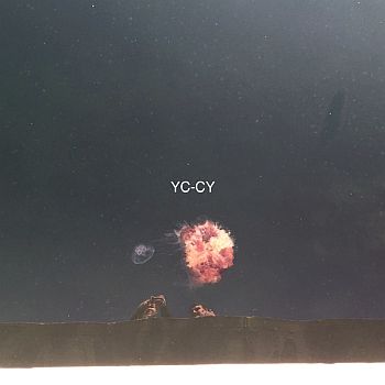 ** FLASH SALE ** YC-CY - Todestanz LP
